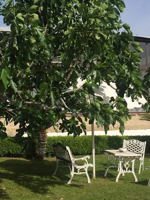 B&B Zia Bi Bed And Breakfast 나폴리